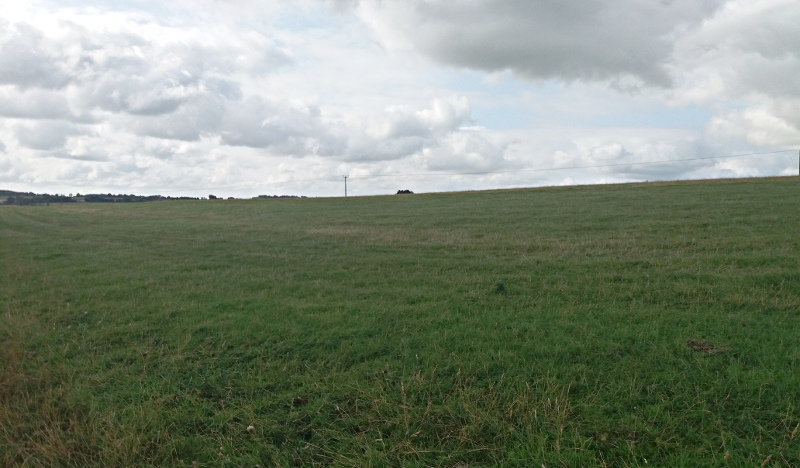 Waypoint 5
